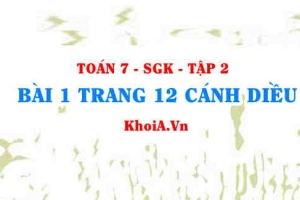 Bài 1 trang 12 Toán 7 Cánh Diều Tập 2